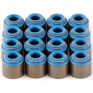 Mastodon LS/LQ Viton Valve Seals